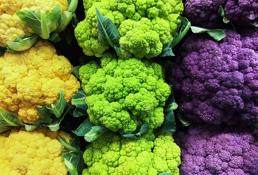 Gesunde Fette f&uuml;r Veganer: Pflanzliche Omega-3 und Omega-6 Quellen