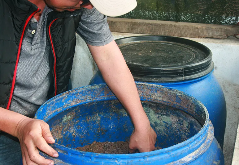 optimise fertilisers and develop new climate-robust coffee plants