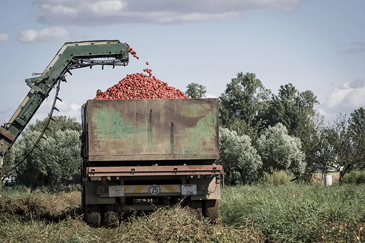 Using Robots To Harvest Crops