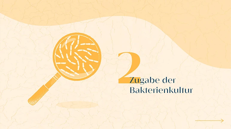 Wie aus Alpkräutern Alpkäse wird