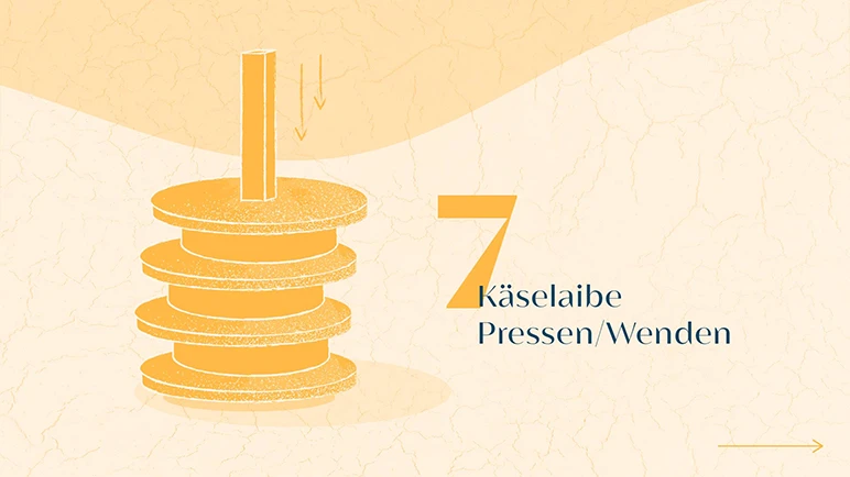 Wie aus Alpkräutern Alpkäse wird