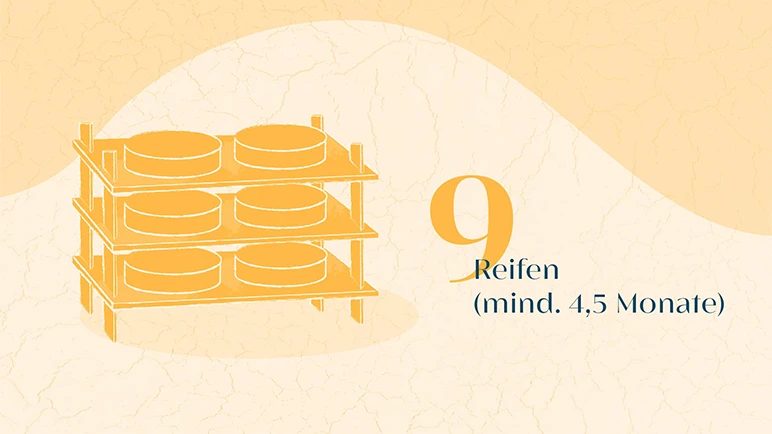 Wie aus Alpkräutern Alpkäse wird