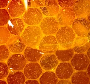 science-behind-honey-category.webp