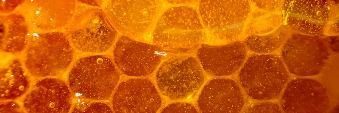 science-behind-honey-header_1.webp