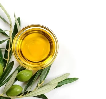 science-of-olive-oil-category.webp