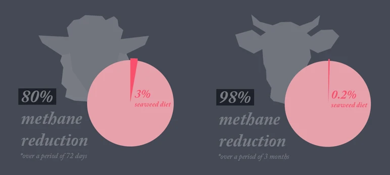 Methane deduction