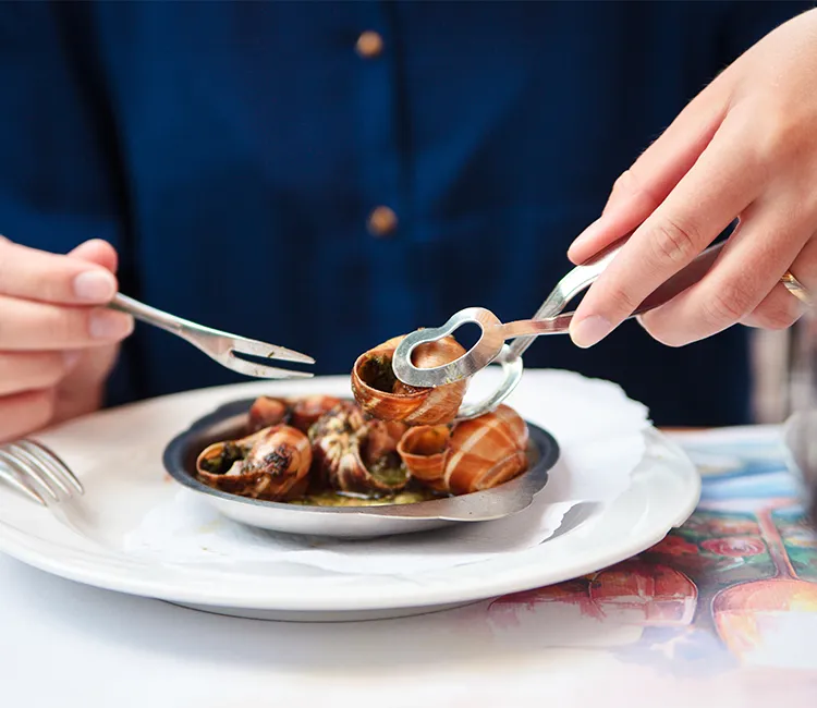 Sind essbare Schnecken eine Quelle f&uuml;r nachhaltiges Fleisch?