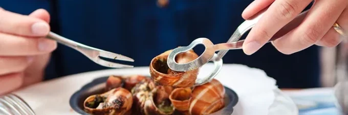 sind-essbare-schnecken-eine-quelle-fuer-nachhaltiges-fleisch