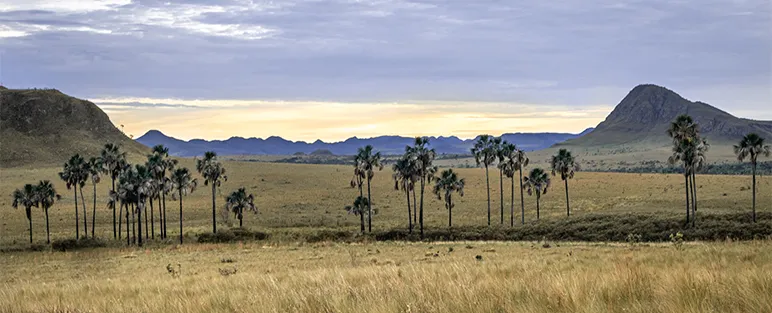 Threatened Biodiversity