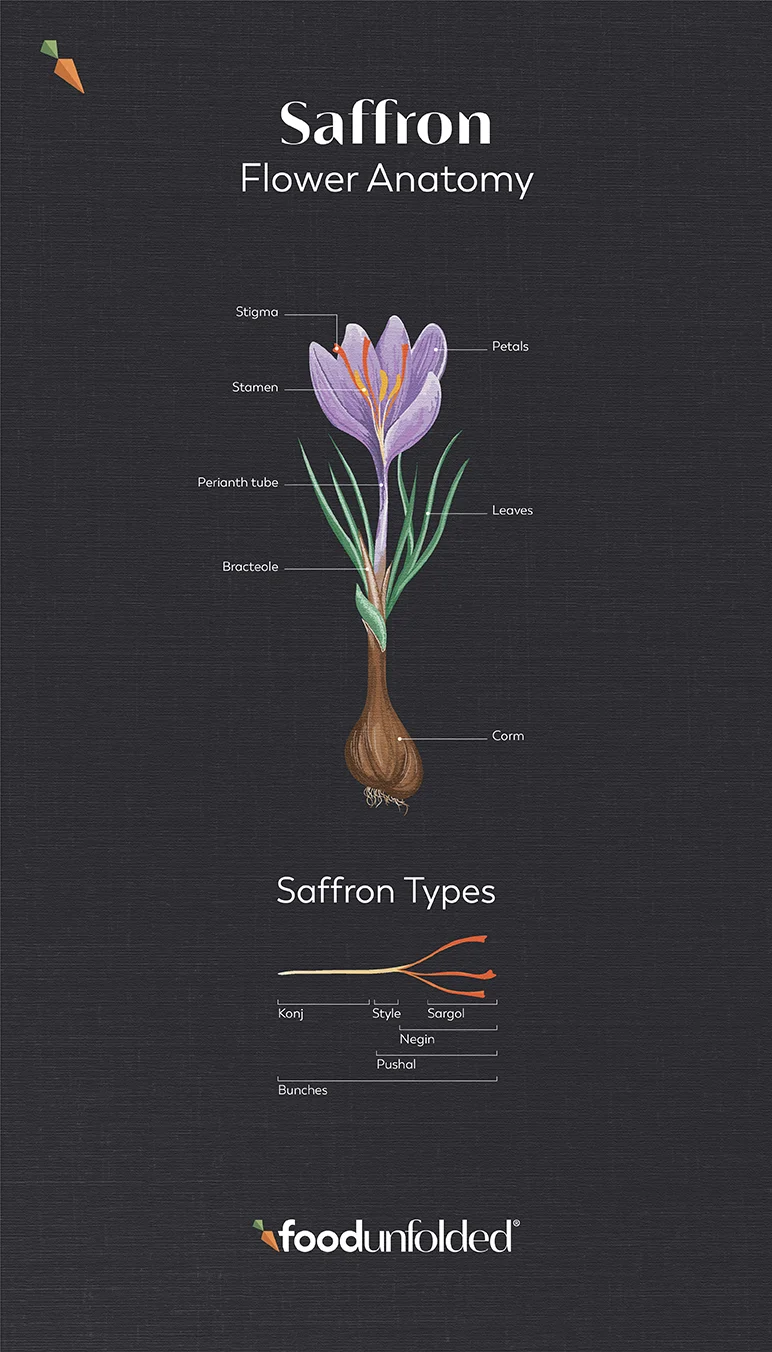 saffron info graphic