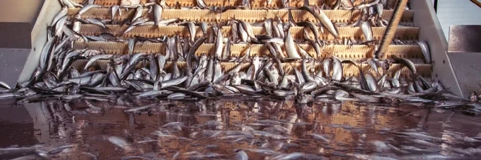 the-problem-with-seafood-supply-chains