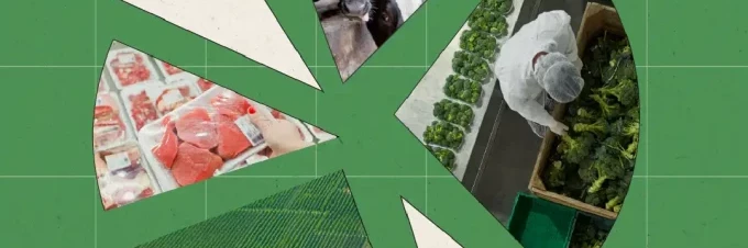 what-does-eating-sustainably-actually-mean