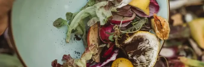 4-ways-to-prevent-food-waste