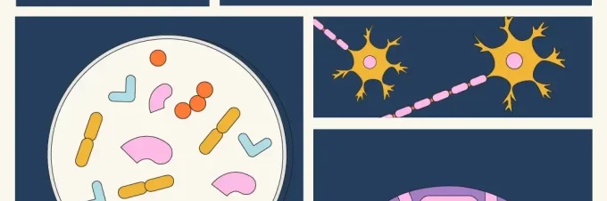 gut-feelings-the-surprising-connection-between-fibre-and-your-mental-well-being