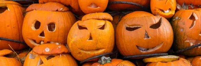 pumpkin-waste-is-scarier-than-you-think