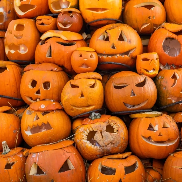 Thumbnailpumpkinwaste.webp
