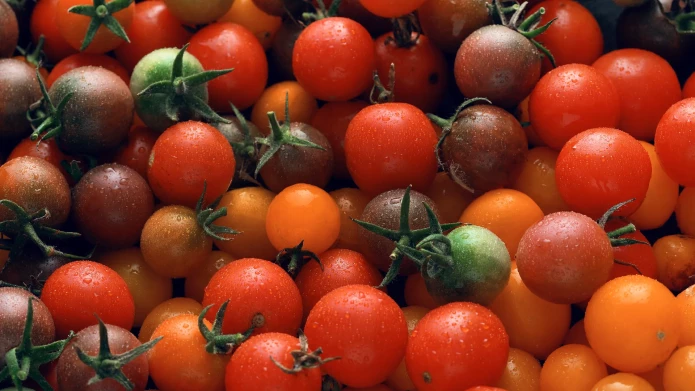 Tomatoes_Cost_of_Production_Banner_New.webp
