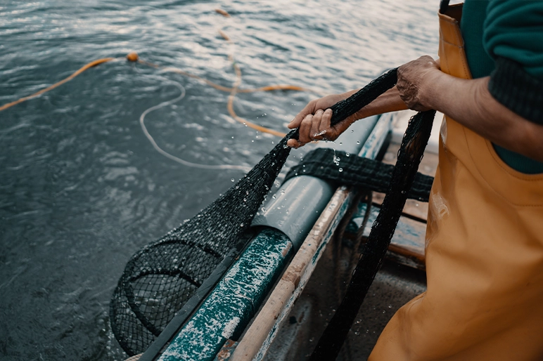 Fisherman hauling net of fish onto trawler