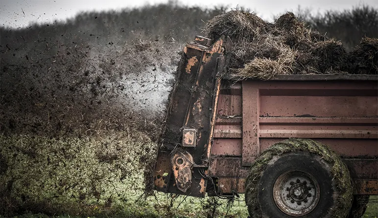 fertilising the soil using organic material
