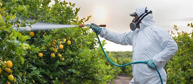 Spraying with conventional pesticides and unnatural food additives